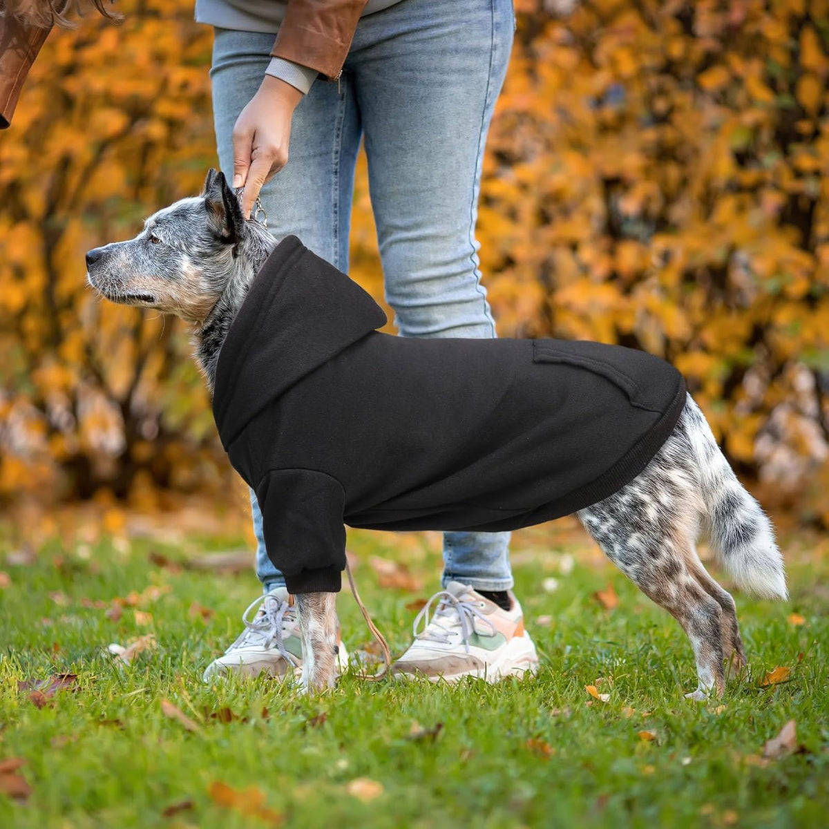 Dog Hoodie Dog Sweaters for Large Dogs Dog Sweater Solid Soft Brushed Fleece Dog Clothes Dog Hoodie