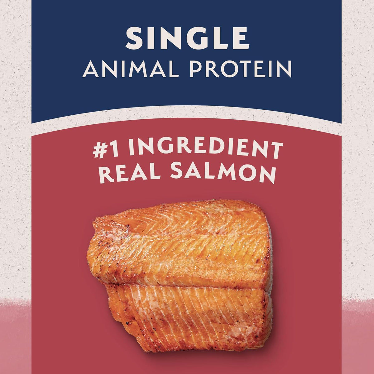 Natural Balance Limited Ingredient Adult Dry Dog Food with Healthy Grains, Salmon & Brown Rice