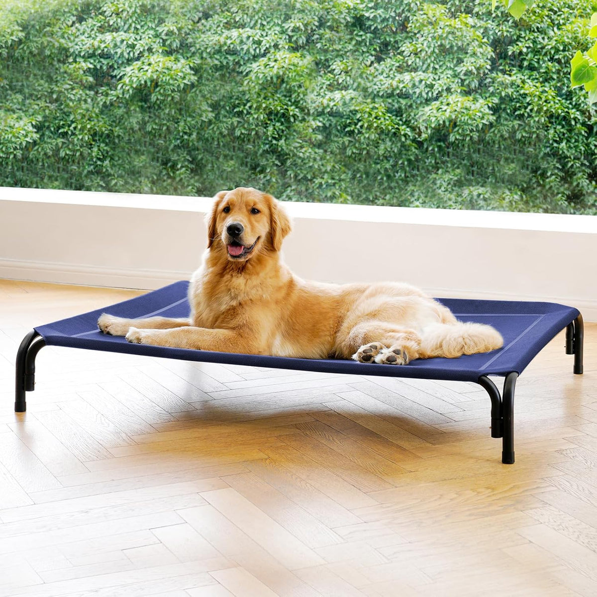 Elevated Dog Bed Raised Outdoor Dog Cot for Extra Large Dogs, Installation Requires No Tools, Frame