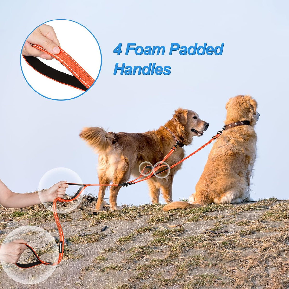 PetBonus Double Dog Leash, No Tangle Dual Leash, Reflective Walking Training Lead, 4 Comfortable