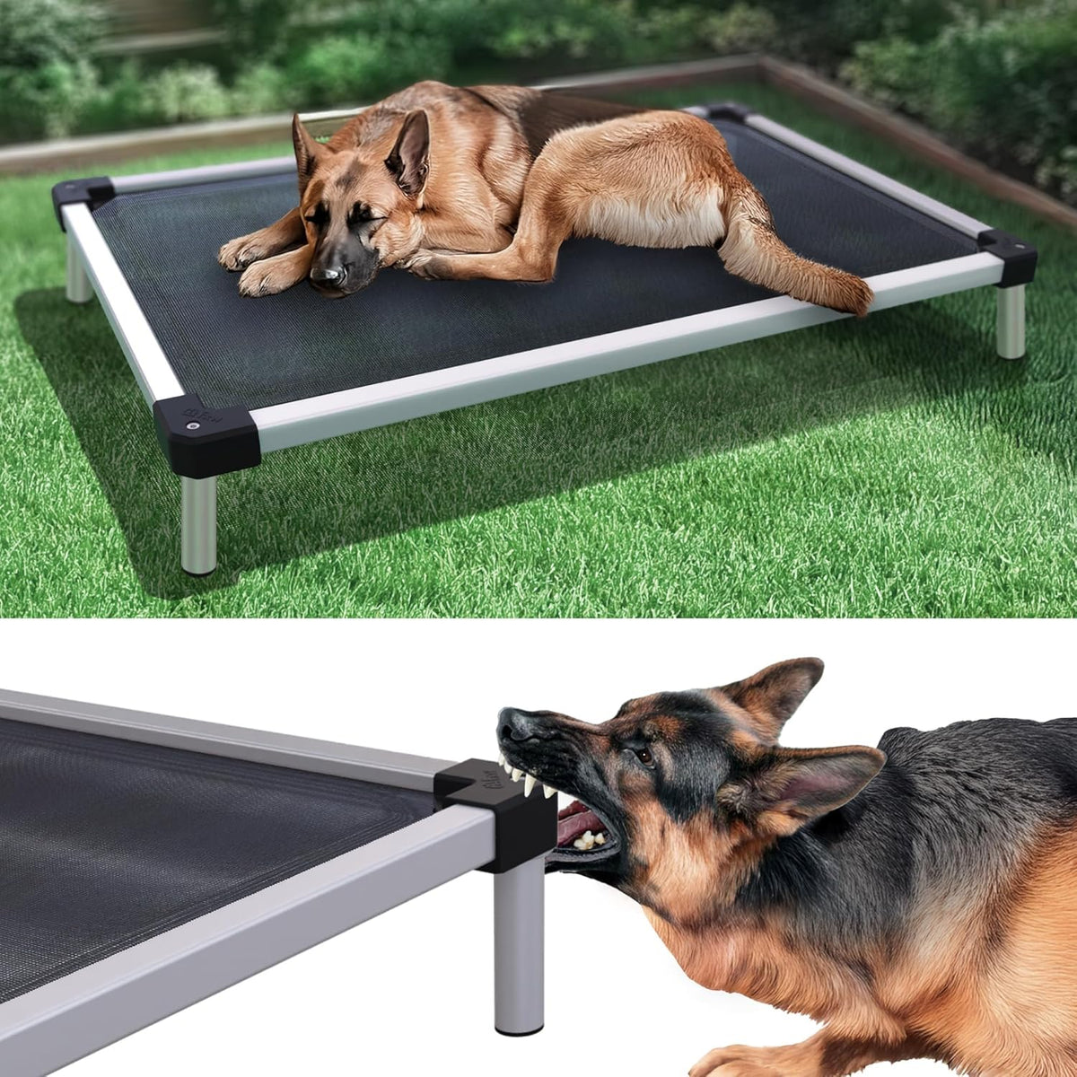 FXW TitanNest Chew-Proof Elevated Dog Bed, Raised Cot for Indoor/Outdoor/Camping Use, Durable &