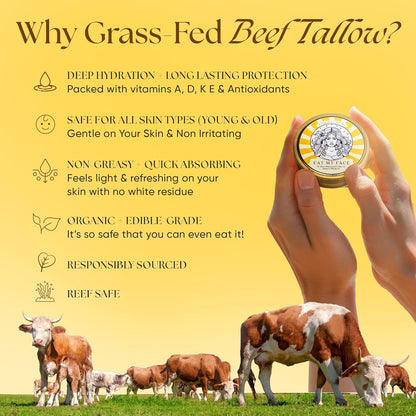 Beef Tallow Sunscreen Organic with Non Nano Zinc Oxide Formula for Daily Protection, 4oz Reef Safe