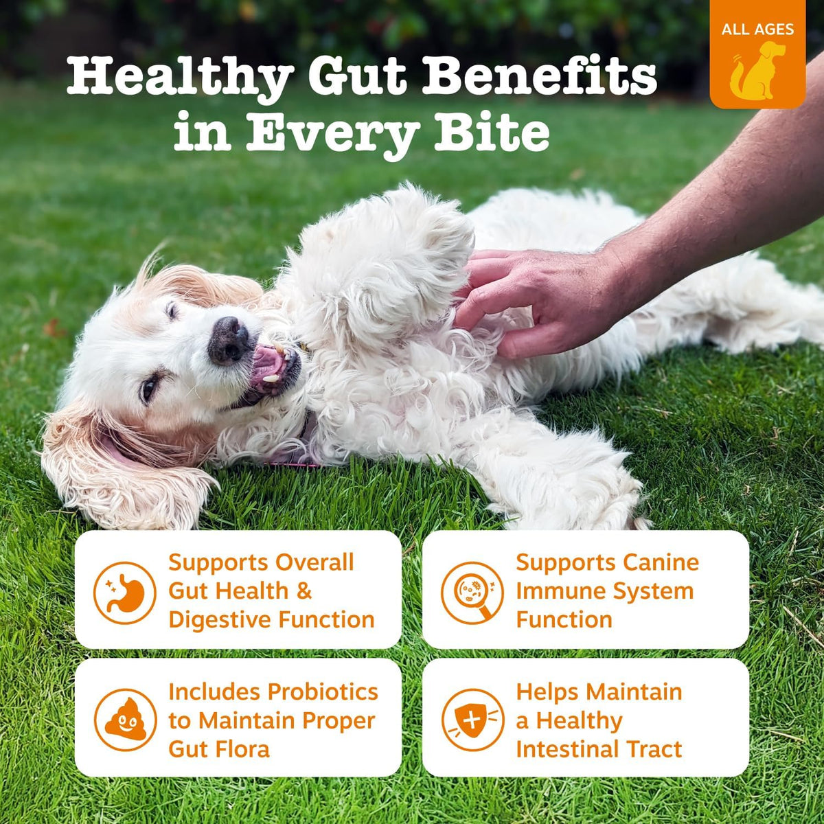 Zesty Paws Probiotics for Dogs - Digestive Enzymes for Gut Flora, Digestive Health, Diarrhea &