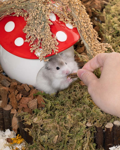 Niteangel Small Animal Snack & Treats - Small Critter Natural Treat for Dwarf Syrian Hamsters