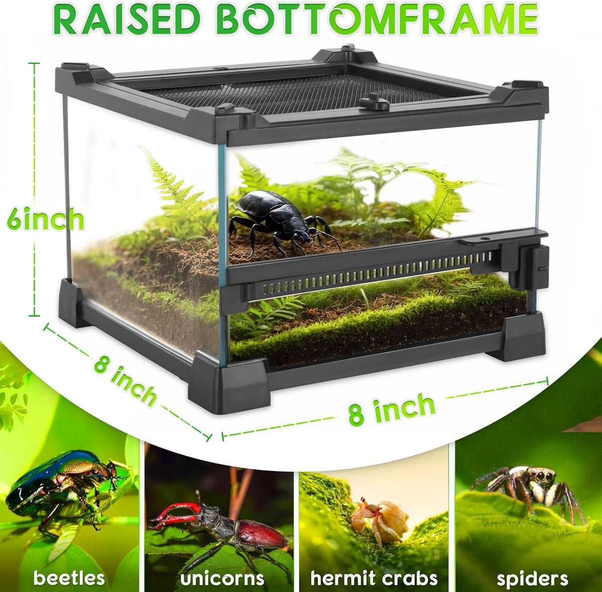Mini Reptile Glass Terrarium 8"x8"x6" Durable Reptile Habitat Tank with Heat Resistant Aluminum