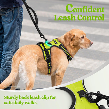 rabbitgoo Dog Harness No Pull with 2 Leash Clips, Adjustable Soft Padded, Reflective Oxford No