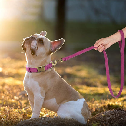 Didog Soft PU Leather Dog Collar, Stylish Quick Released Dog Collars for Medium Dogs, Easy Clean