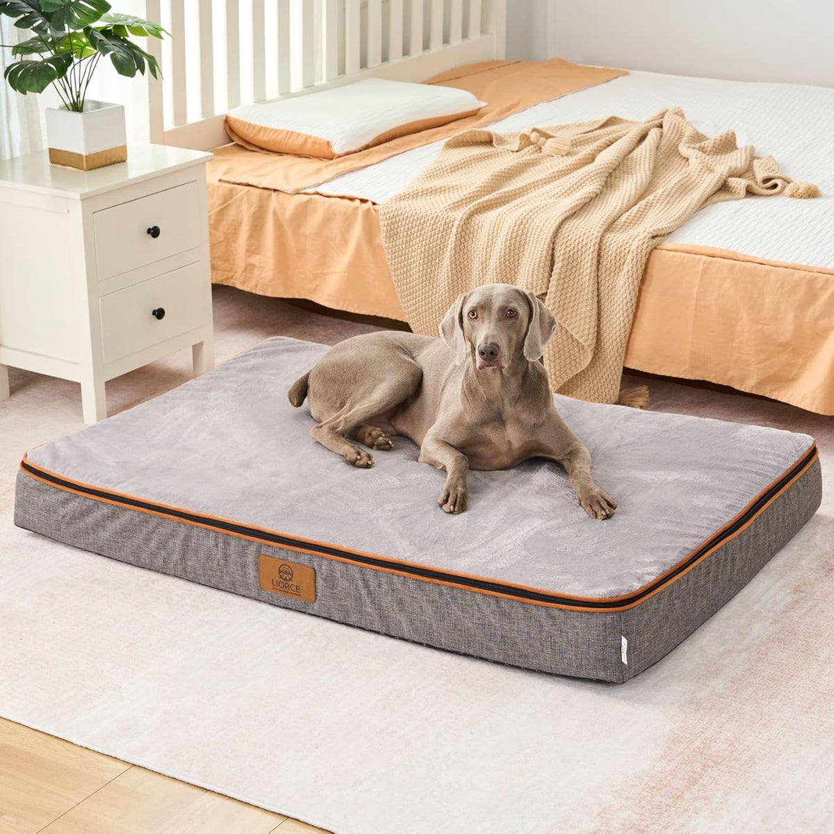 Orthopedic Memory Foam Giant Dog Bed - 6" Thick Beds for Large Sized Dog - Waterproof Removable