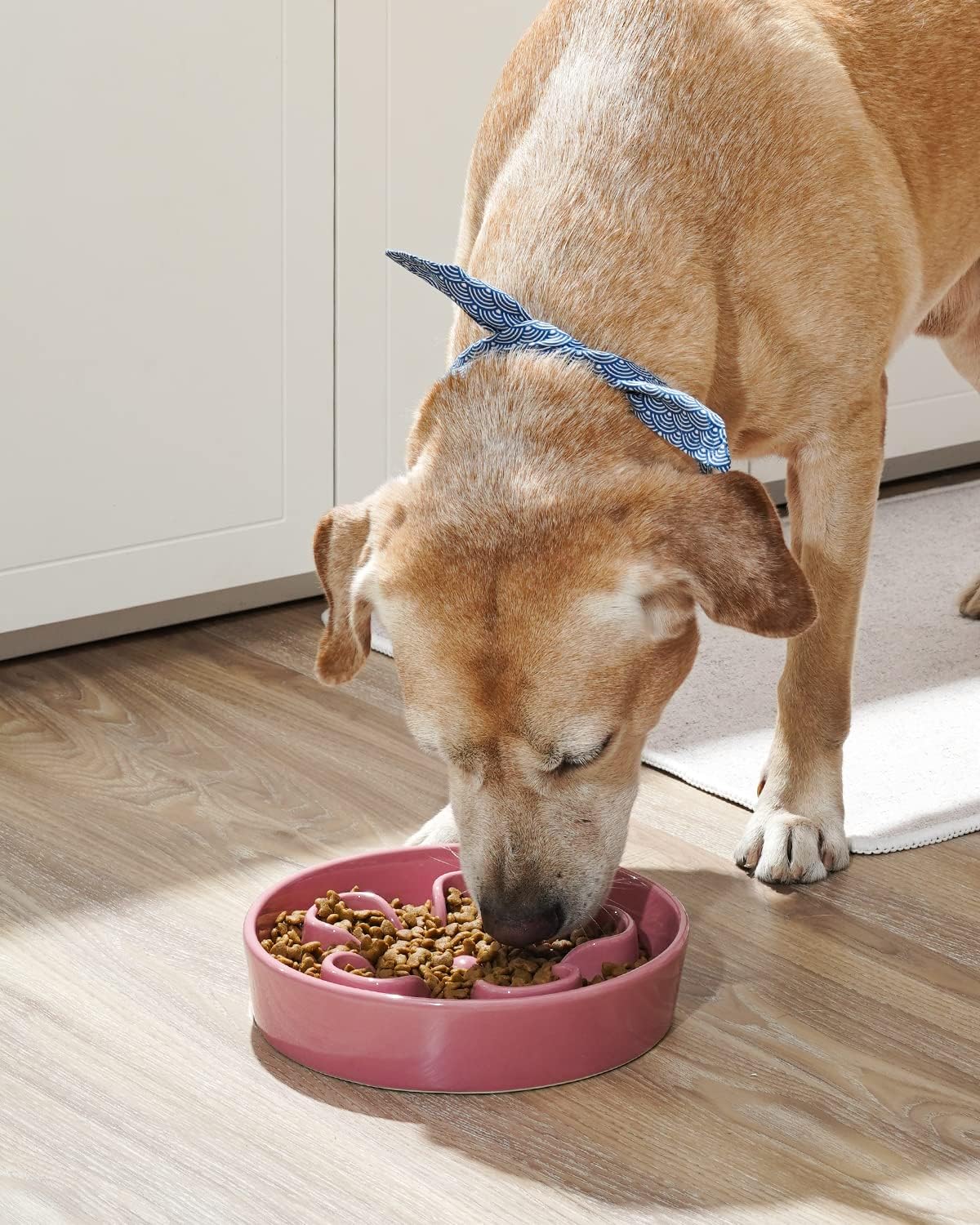 LE TAUCI Slow Feeder Dog Bowls Ceramic,3 Cups Slow Feeding Dog Bowl Medium Large Breed, Pet Bowl