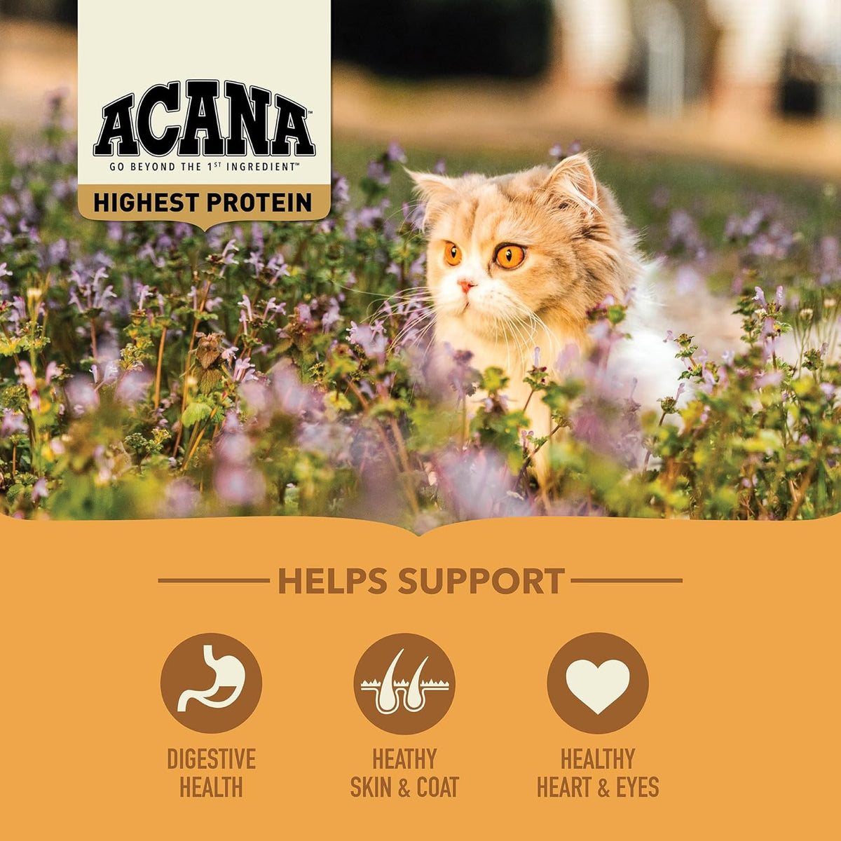 ACANA Grain-free Dry Cat Food Meadowlands Chicken Turkey Fish and Cage-Free Eggs 10lb Bag