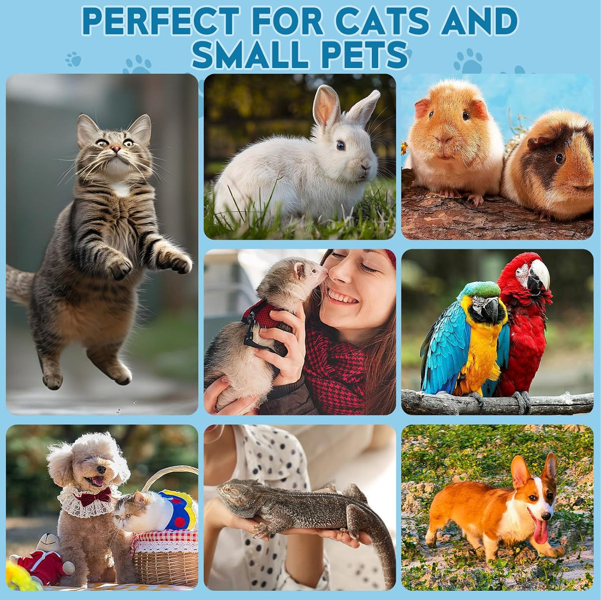 Cat Nail Clippers, Professional Pet Claw Clippers for Indoor Cats, Kittens, Small Dogs, Puppys