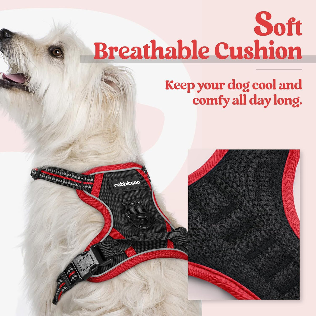 rabbitgoo Dog Harness No Pull with 2 Leash Clips, Adjustable Soft Padded, Reflective Oxford No