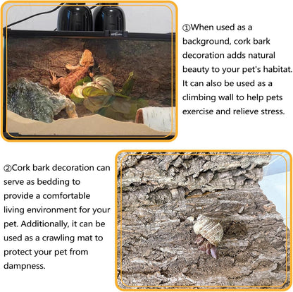 BNOSDM 4pcs Reptile Cork Bark Terrarium Background Bearded Dragon Tank Decor for Lizard Bearded