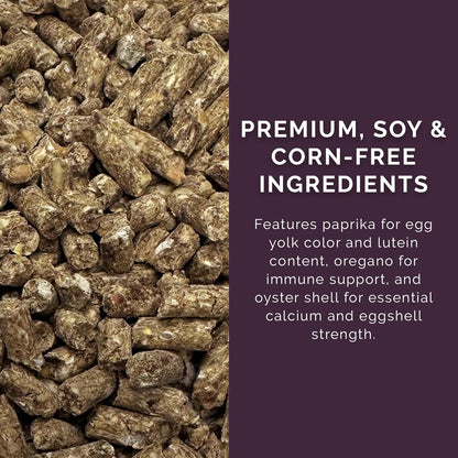 Layer Pellet Feed, 40lbs - Non-GMO, High-Protein Poultry Feed for Healthy Hens & Nutritious Eggs