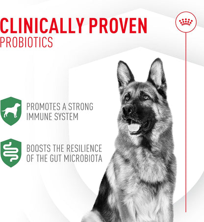 Royal Canin Probiotics for Dogs Digestive and Immune Health Powder Supplement for Dogs of All Ages