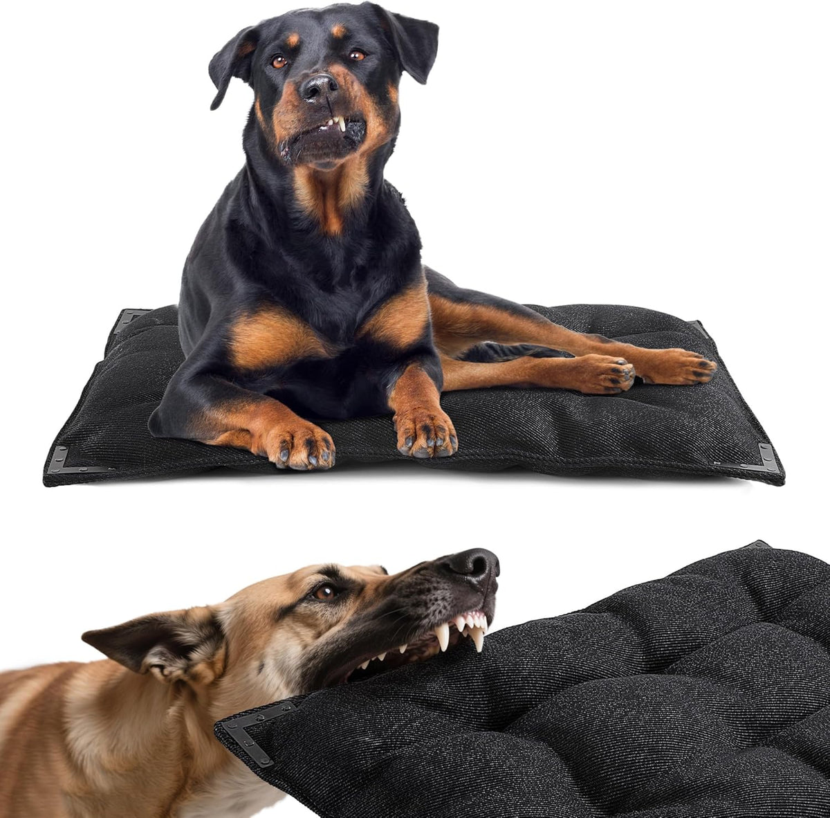 BALAPET Chew Proof Dog Bed with Metal Rivet Corner for Medium Dogs, Stable Kennel Pad Mat for