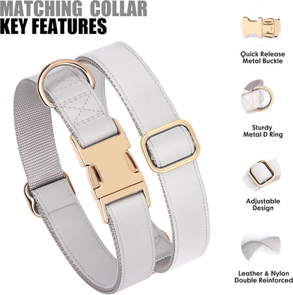 PET ARTIST Soft PU Leather Dog Collar for Small Dogs, Bright & Classic Nylon Padded Durable Dog