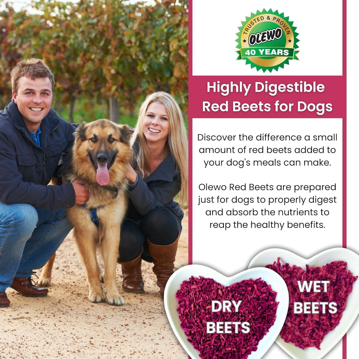 Olewo Original Red Beets for Dogs – Natural Dog Anti Itch, Dog Food Topper, Skin & Coat Support