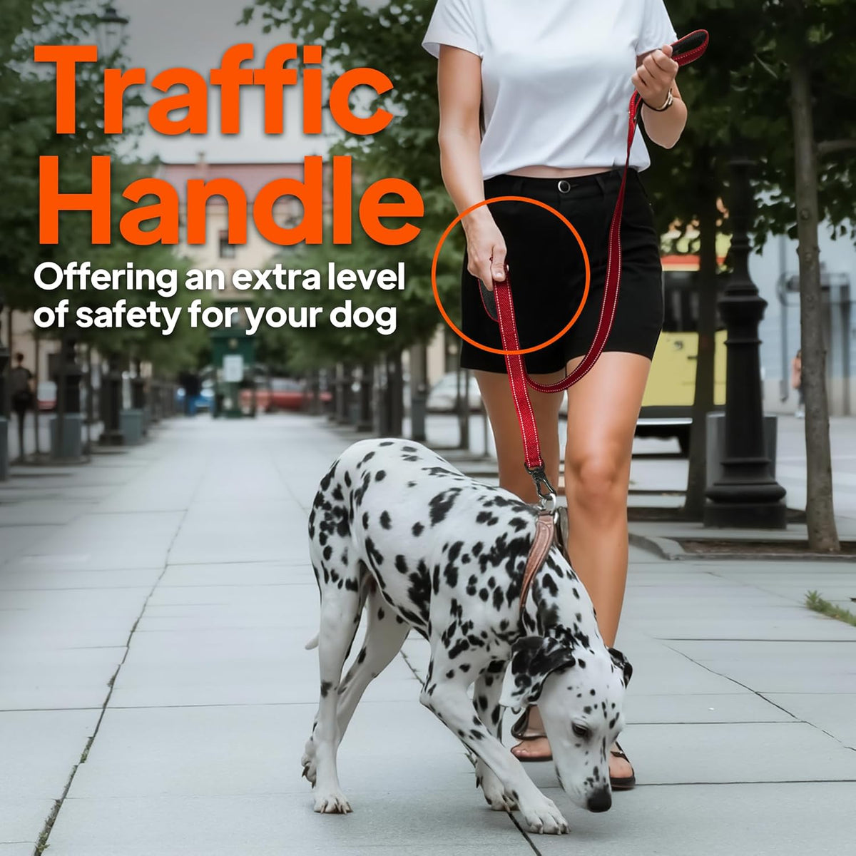 TwoEar 4FT 1IN Strong Black Dog Leash with 2 Padded Handles, Traffic Handle Extra Control