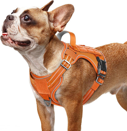 rabbitgoo Dog Harness Small Sized No Pull, Tactical Service Pet Vest with Molle and Control Handle