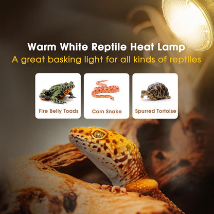 Reptile Heat Bulb 2 Pack, 75W UVA Reptile Light Bulbs, Dimmable Heat Lamp Bulbs Basking Spot Light