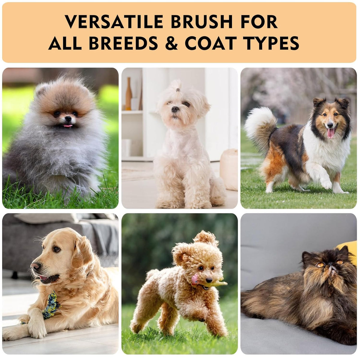Dog Slicker Brush for Shedding & Grooming - Professional Dog Brush and Cat Brush with Coated Tips &