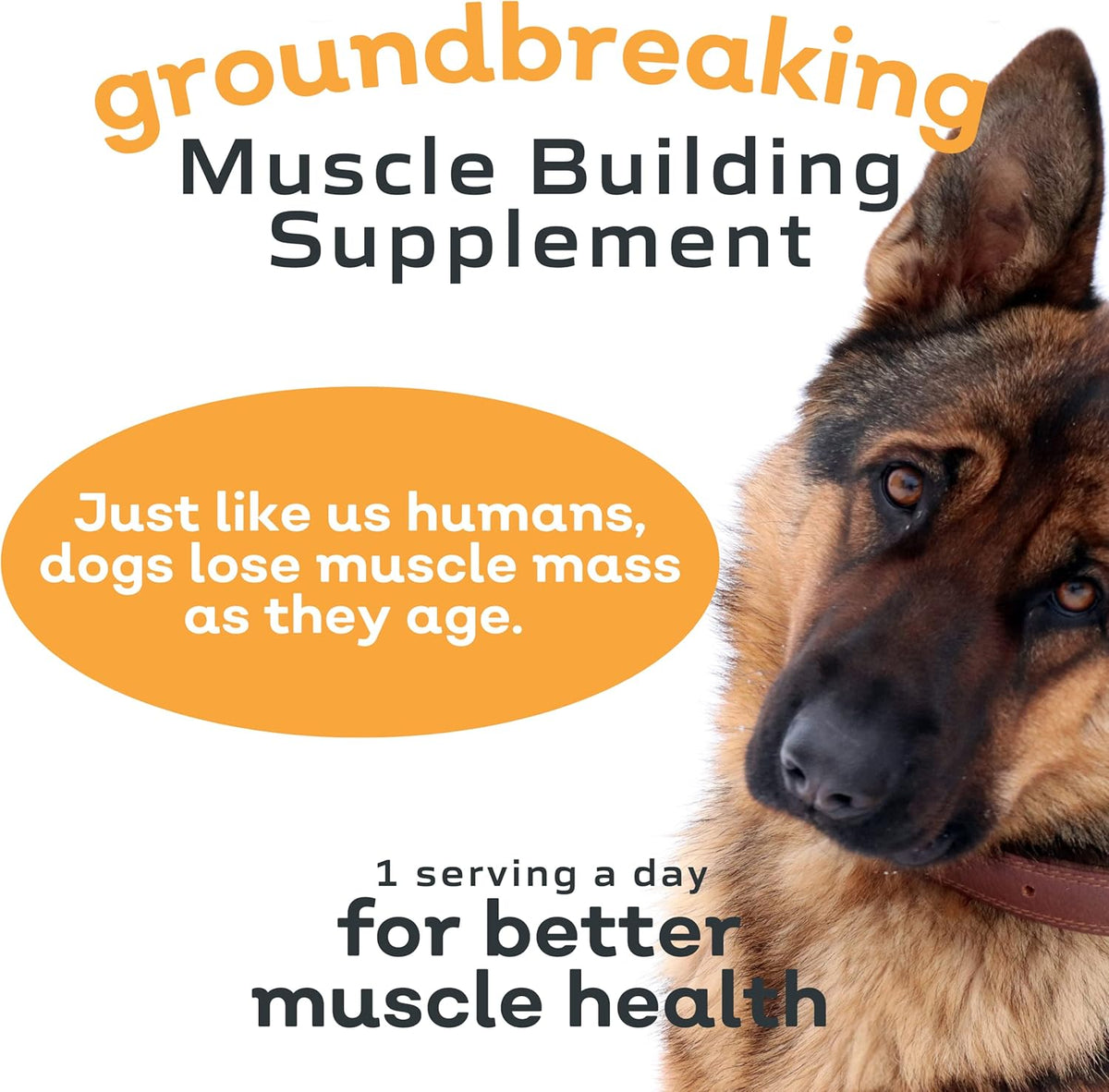 MYOS Canine Muscle Formula - All-Natural Muscle Building Supplement - Helps Reduce Muscle Loss in