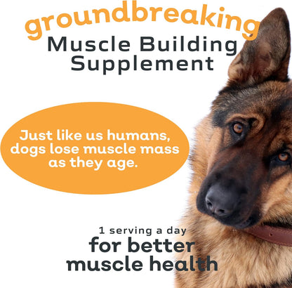 MYOS Canine Muscle Formula - All-Natural Muscle Building Supplement - Helps Reduce Muscle Loss in