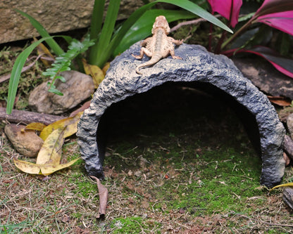 Rock Cave Habitat Hidden for Reptile and Amphibians.Terrarium & Aquarium Decor, Reptile hideout
