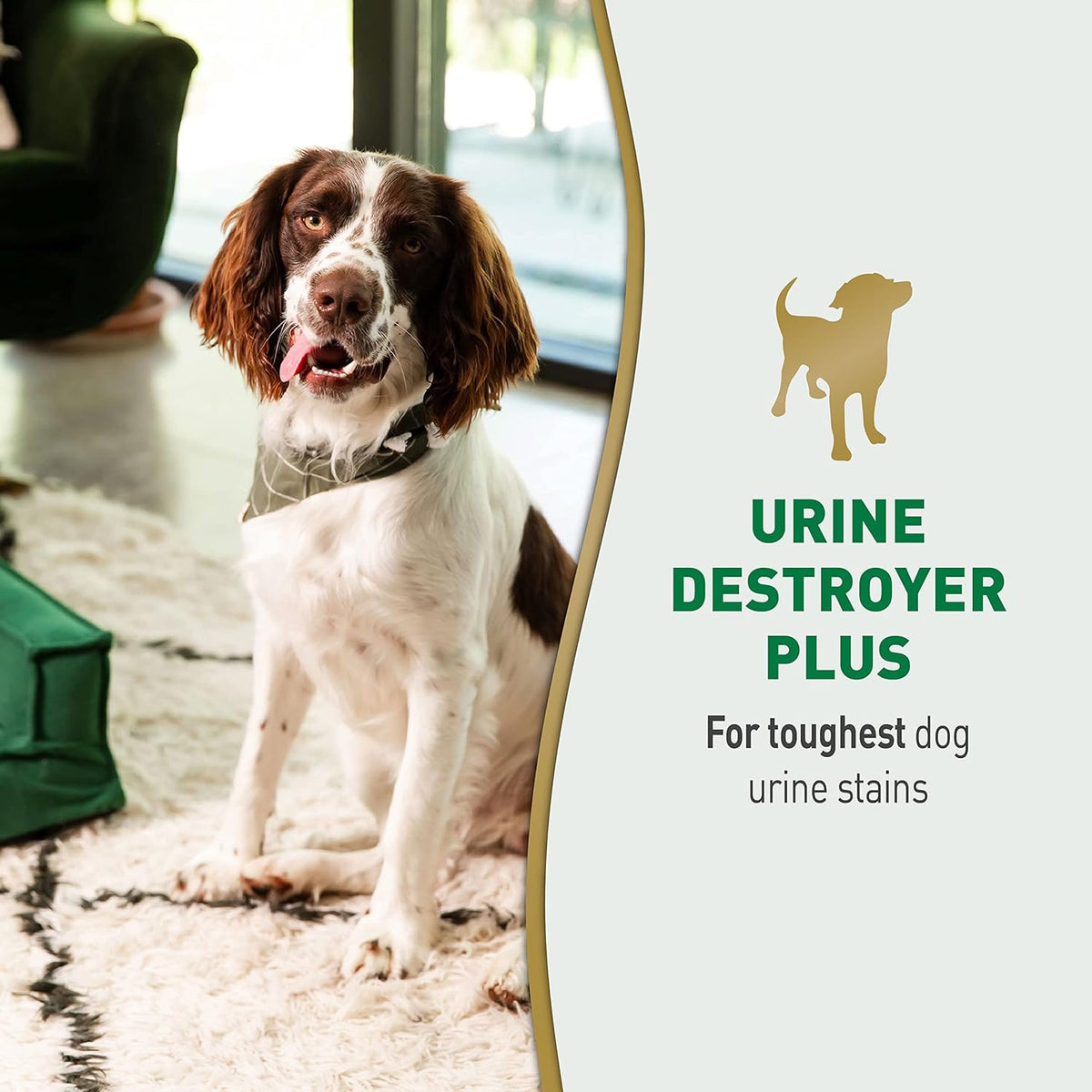 Nature's Miracle Urine Destroyer Plus for Dogs, Enzymatic Formula for Severe Dog Urine Stains, 32