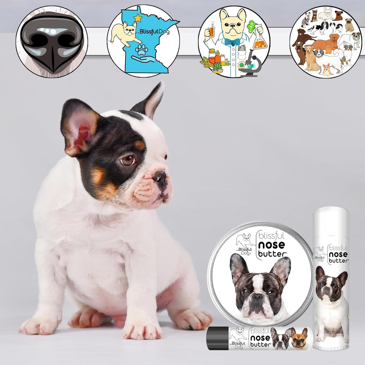 The Blissful Dog Pied French Bulldog Nose Butter, Versatile Dog Nose Balm for Dry Nose, Handcrafted