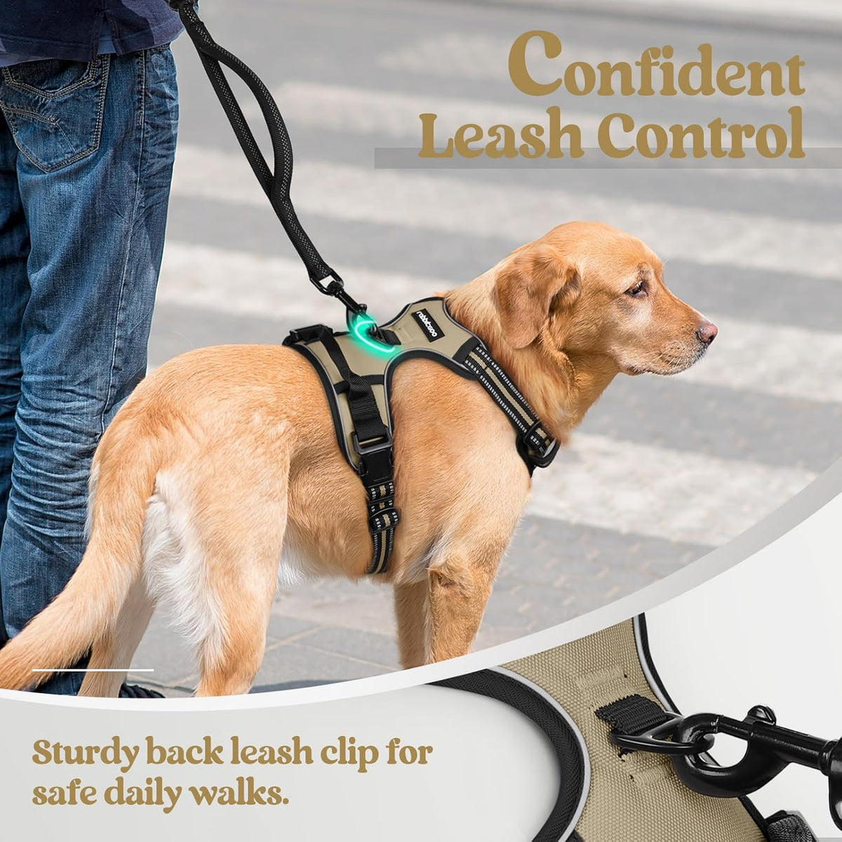 rabbitgoo Dog Harness No Pull with 2 Leash Clips, Adjustable Soft Padded, Reflective Oxford No