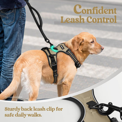 rabbitgoo Dog Harness No Pull with 2 Leash Clips, Adjustable Soft Padded, Reflective Oxford No