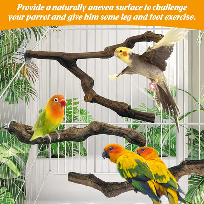 kathson 3pcs Natural Parrot Perch for Cage Wooden Bird Perches Grape Bird Stick Parakeet Climbing