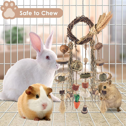 Bissap Bunny Chew Toy, Rabbits Cage Hanging Chew Toys and Treats Rattan Ring with Snacks Water