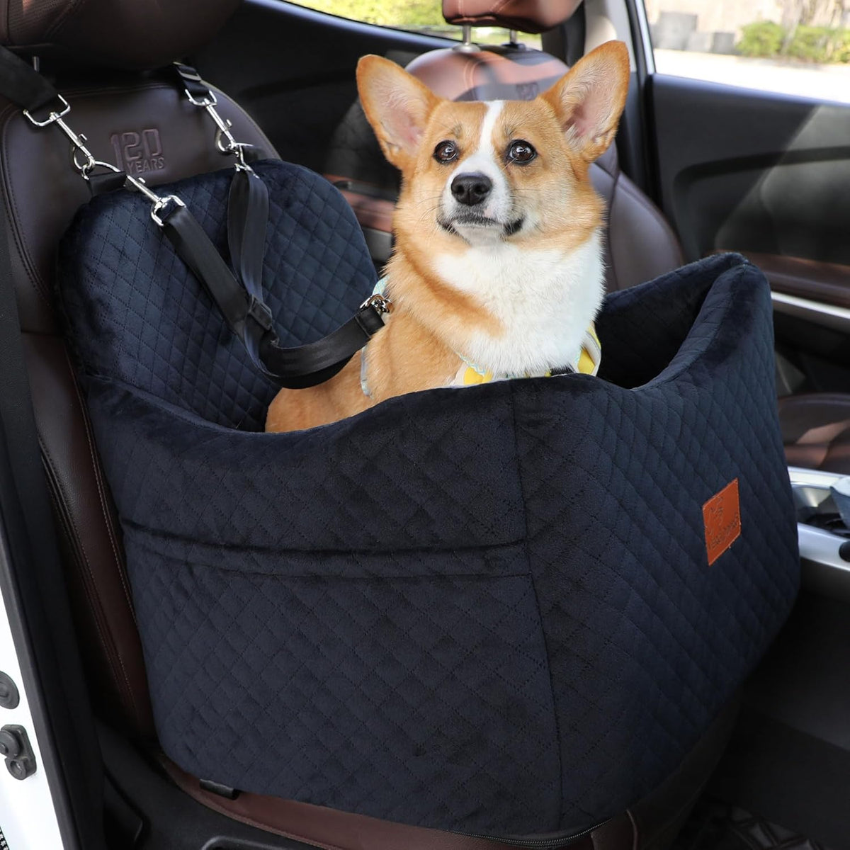 Dog Car Seats-Memory Sponge and Velvet Pet Booster Car Seat,Safety and Comfy,Ride Height 6"