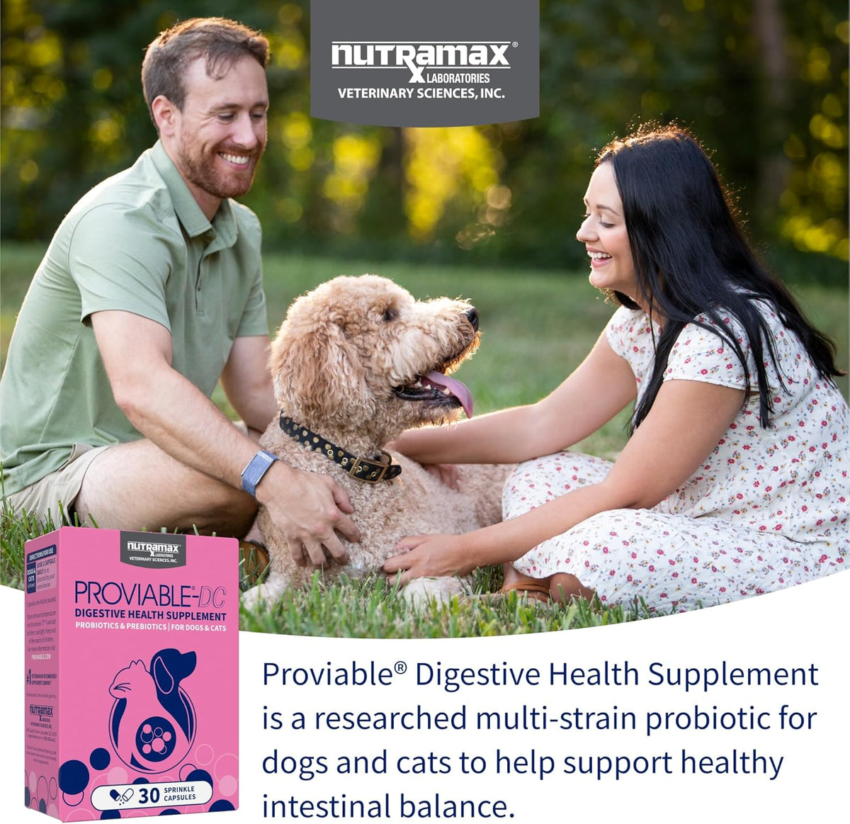 Nutramax Proviable Probiotics for Dogs and Cats, Daily Digestive Health Supplement with Multiple