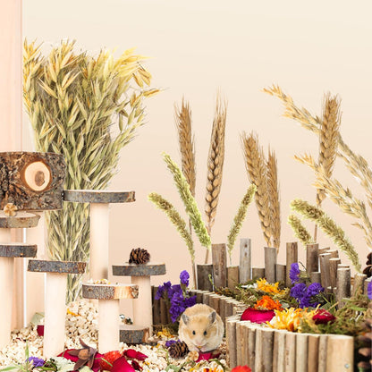 Natural Ear of Grain Flower&Herb Bedding Mate Habitat Decor, Adding Fun Hamster Accessories for