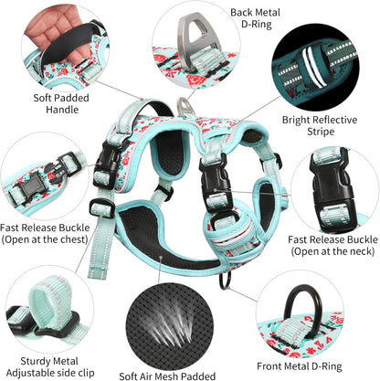 Timos Dog Harness, No-Pull Pet Harness with 2 Leash Clips, 3 Snap Buckles Adjustable Soft Padded