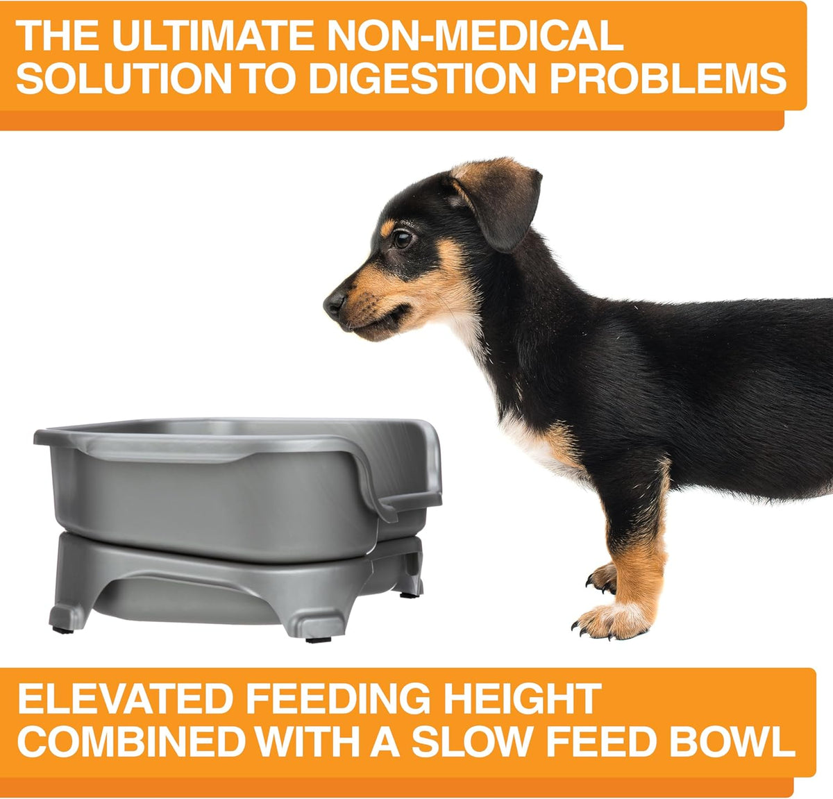 Neater Feeder Express Mess Proof Dog Bowls Elevated for Small Breed – Made in USA – No Spill Raised