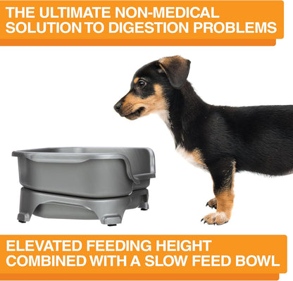 Neater Feeder Express Mess Proof Dog Bowls Elevated for Small Breed – Made in USA – No Spill Raised