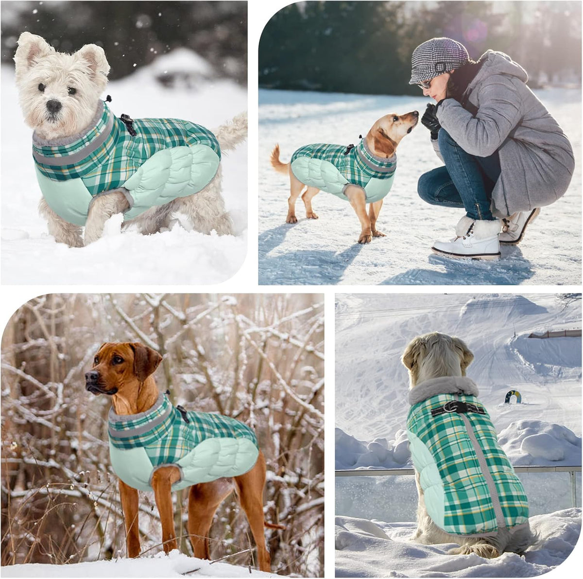 FUAMEY Dog Coat for Medium Dogs,Waterproof Dog Winter Jacket with Harness Built in Puppy Cold