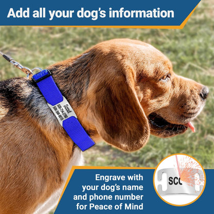 GoTags Reflective Personalized Dog Collar with Nameplate, Adjustable Dog Collar with Custom