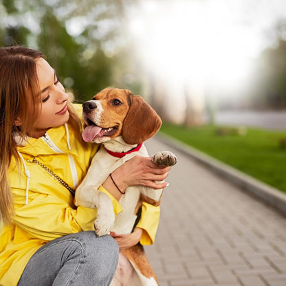 Vetramil® Auris – Natural Ear Care for Dogs & Cats – Soothes Irritation and Supports Healthy Ears