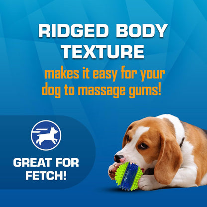 Nerf Dog Toy Gift Set, 3-Piece Set of Outdoor Dog Toys for Fetch, Includes Checker Crunch Ball