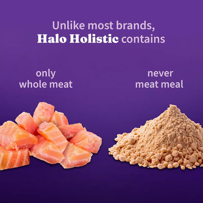 Halo Holistic Cat Food Wild Caught Salmon & Whitefish Formula, Healthy Grains Dry Cat Food