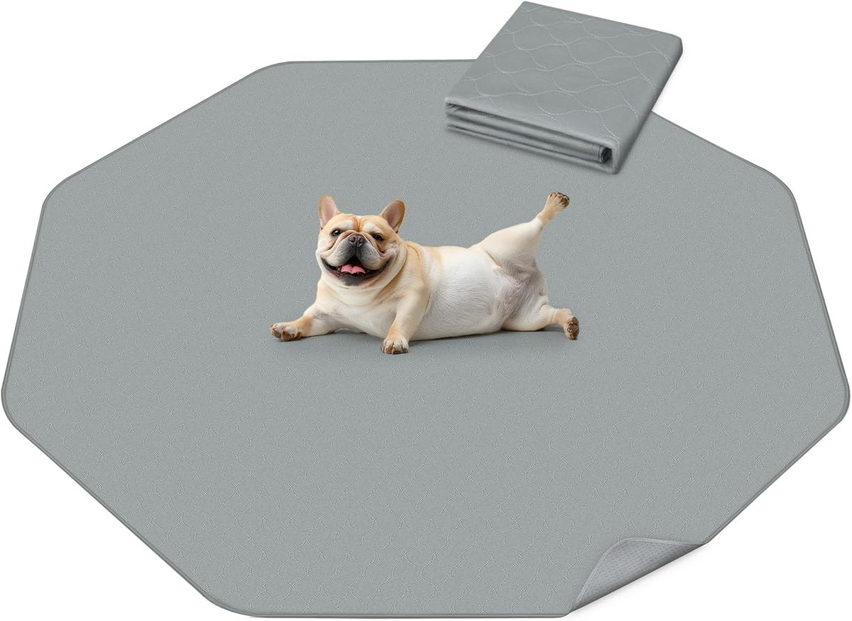 FXW Washable Pee Pads for Dogs, Puppy Pads with Super Absorbent, Specifically Designed