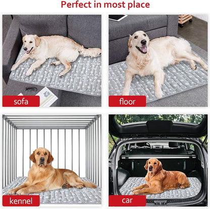 Dog Crate Mat (42" X 28") 2 Pack, Soft Dog Bed Mat with Cute Prints, Personalized Crate Pad