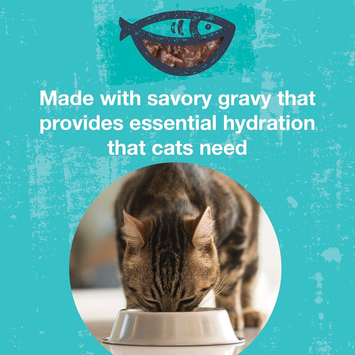 KOHA Poké Bowl Cat Variety Pack, Wet Cat Food in Gravy - 7 Flavors - Tuna Combinations of Salmon