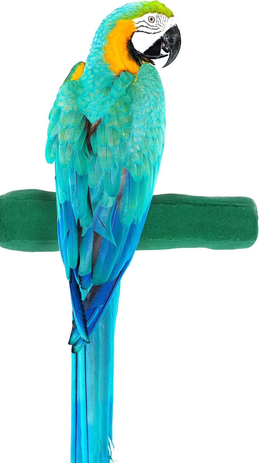 Comfort Grip Safety Perch for Bird Cages - Pedicure Perch for Birds to Keep Nails and Beaks in Top